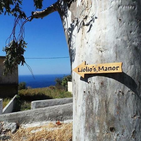 Liolio'S Manor Villa Agalianos Dış mekan fotoğraf